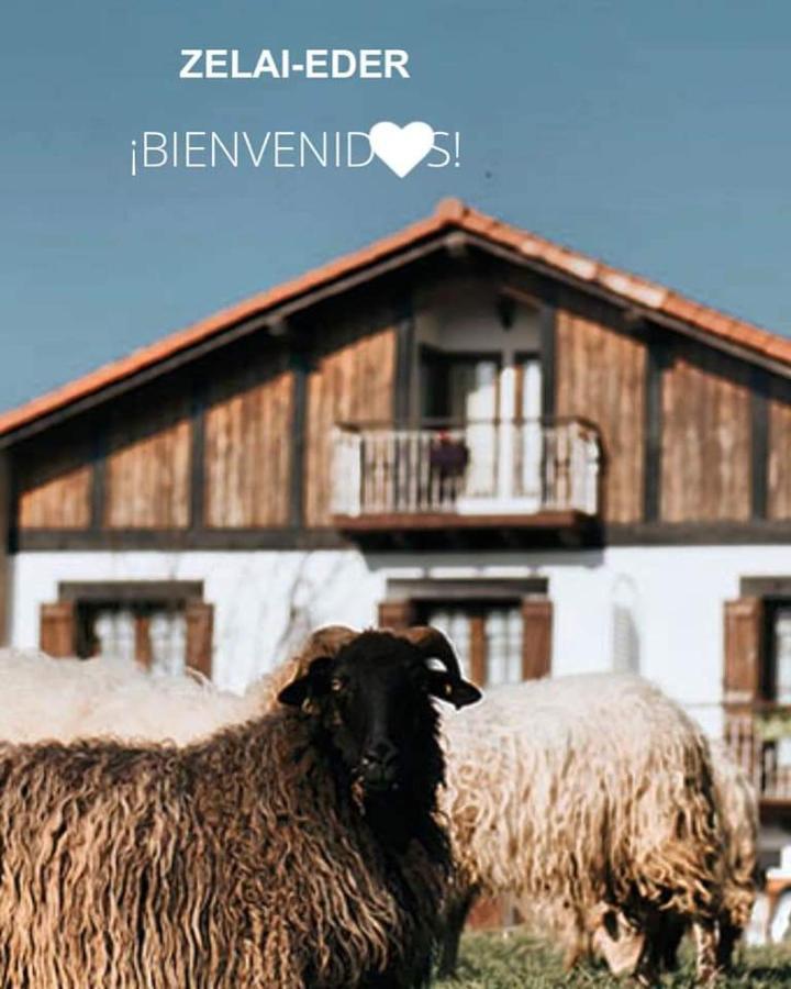 Hébergement de vacances Zelai-eder *
